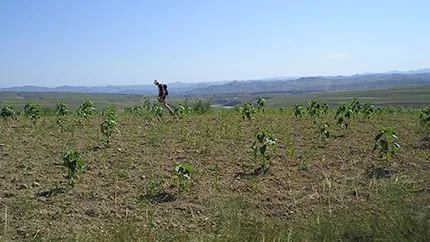 On survey in Inner Mongolia